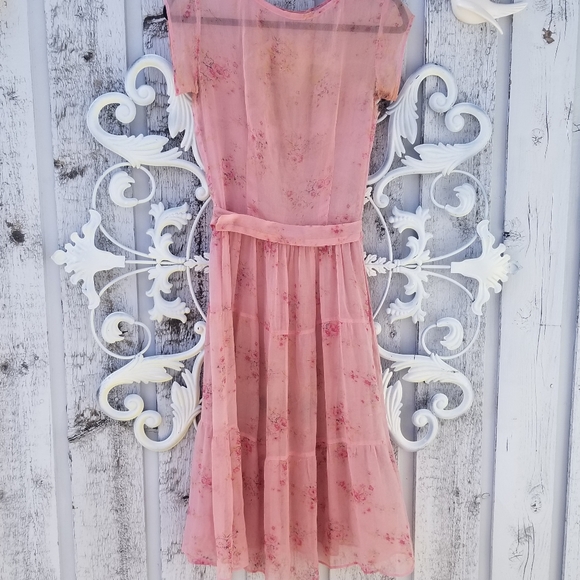 DOEN like vintage Pink Silk Sheer Dress - Picture 6 of 16